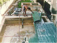 Abwasserreinigung Sri Lanka